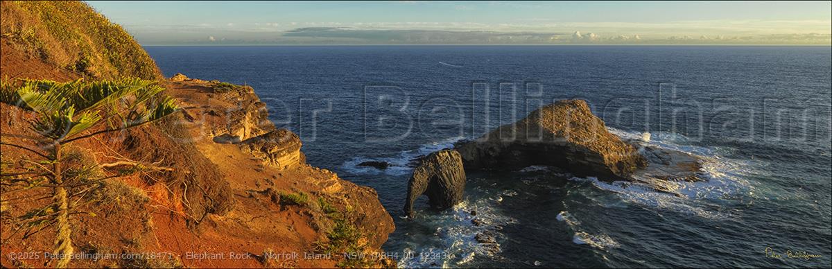 Peter Bellingham Photography Elephant Rock - Norfolk Island - NSW (PBH4 00 12343)